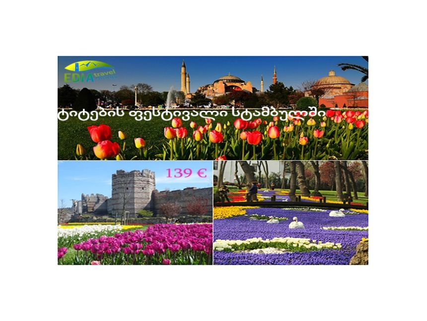 ტიტების ფესტივალი სტამბულში