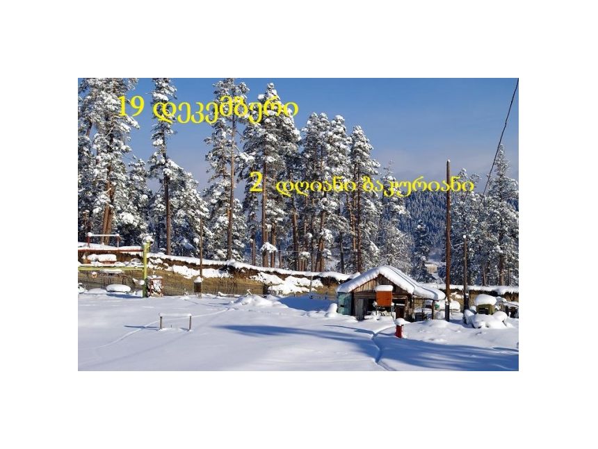 დღიანი ტური ბაკურიანში