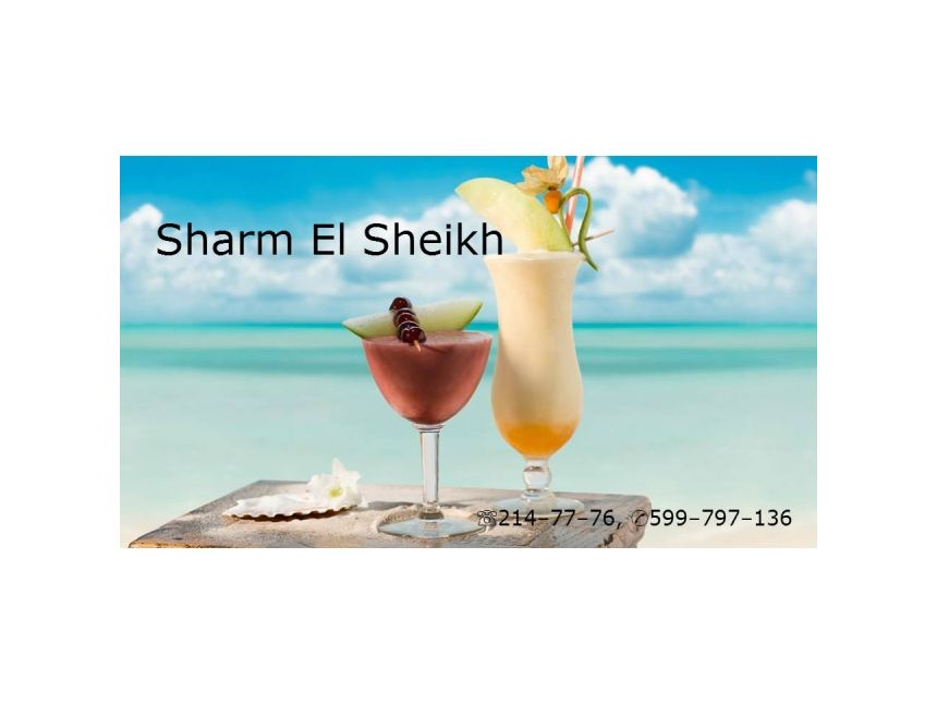 აქცია!!! შარმ - ელ შეიხი  - დან