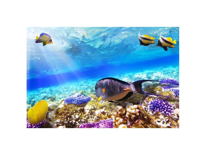 გაატარეთ ძველით ახალი წელი ეგვიპტის ცხელ ქვიშებზე  ☀☀☀  $ დან