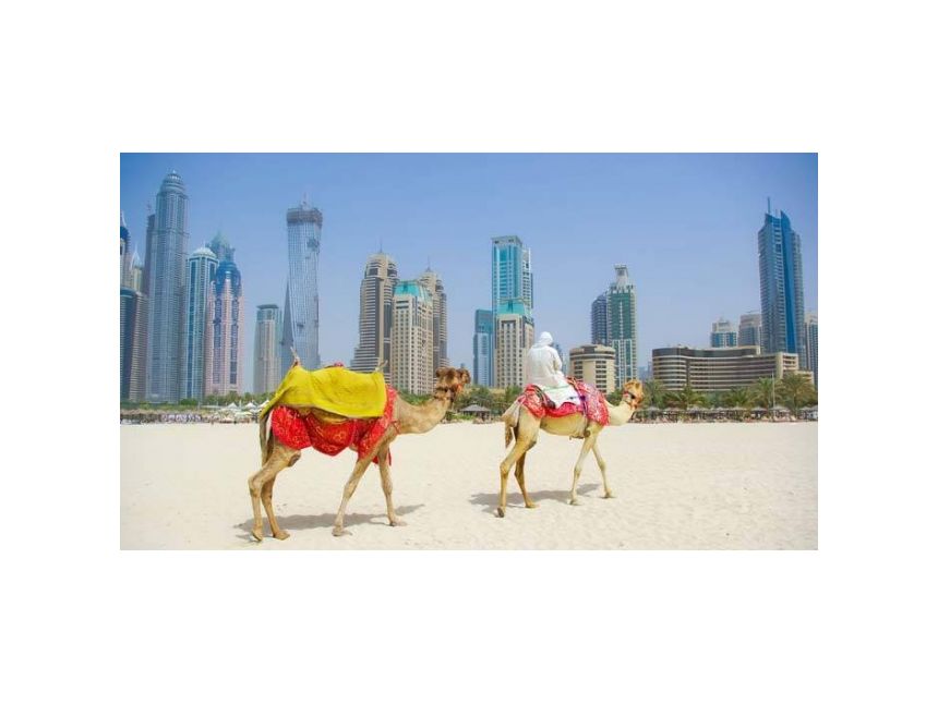 დუბაი საუკეთესო ფასად ! ! !