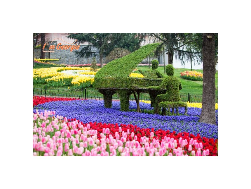 სტამბული ტიტების ფესტივალზე- ევროდ!!