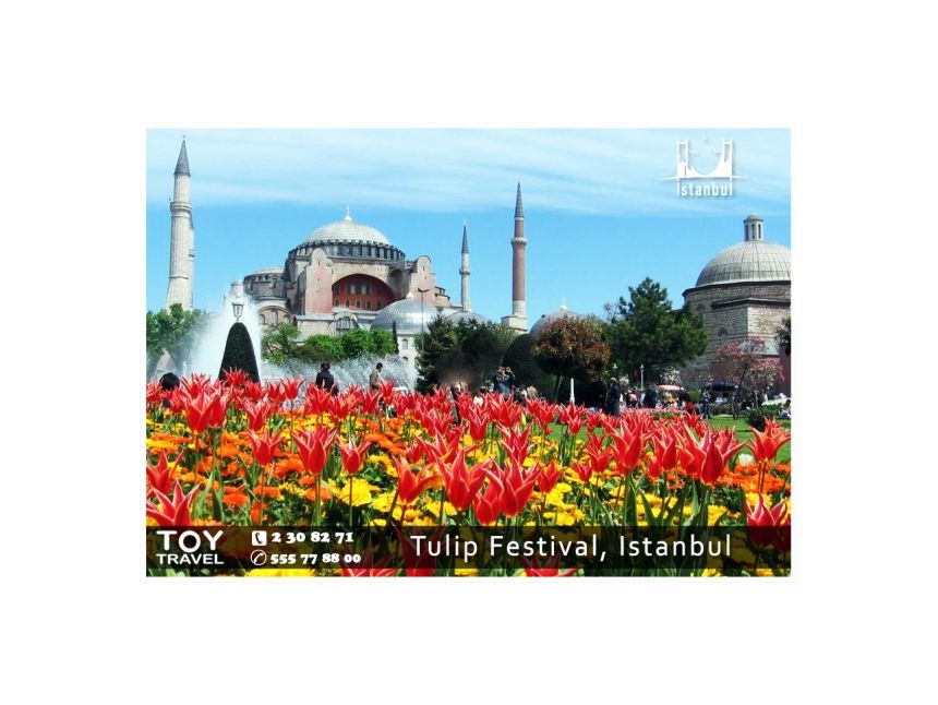 ტიტების ფესტივალი სტამბულში