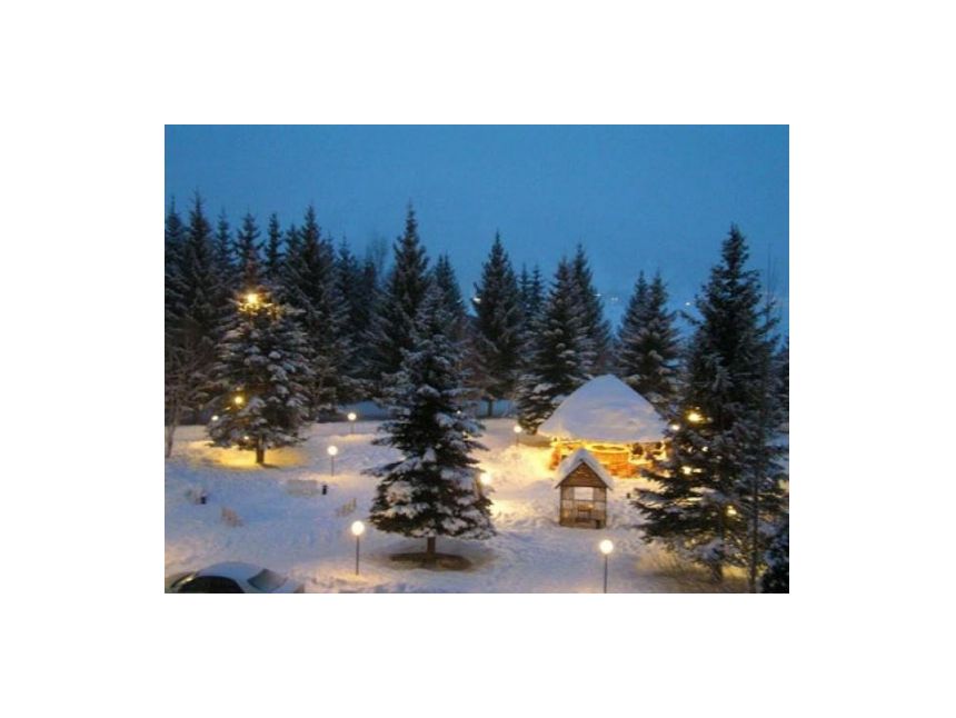 ახალი წელი ბაკურიანში