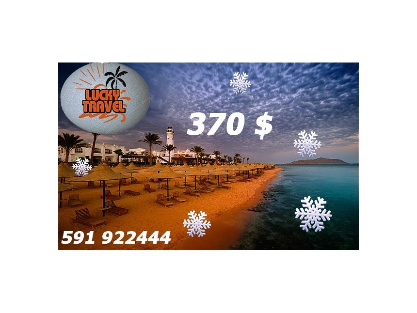 ► შეხვდი ახალ წელს წითელი ზღვის სანაპიროზე!