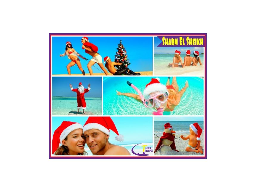 დღის აქცია!