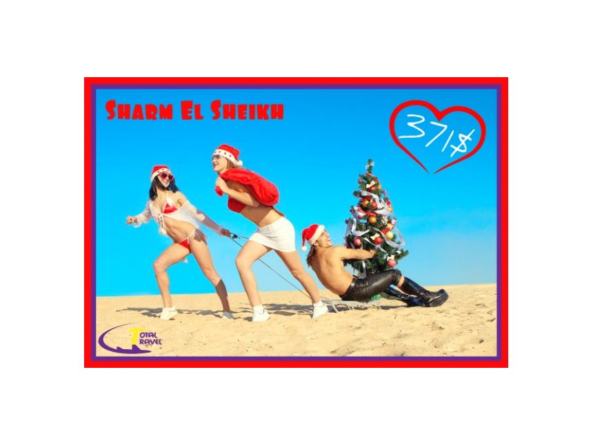 გაატარეთ თქვენი ვიქენდი წითელი ზღვის სანაპიროზე