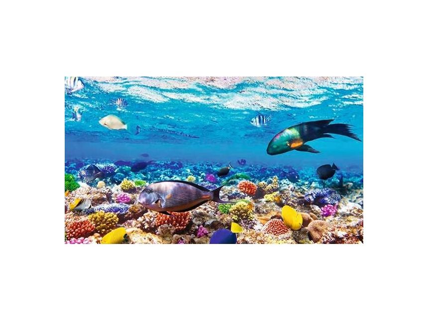 მშვენიერი საჩუქარი ინტერლაინისგან. შარმ ელ შეიხი დან.