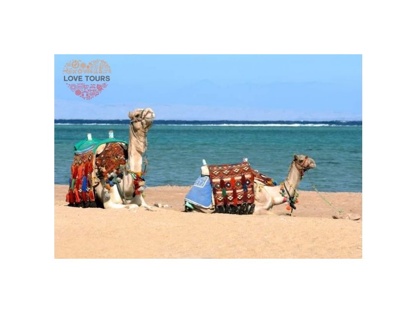 გაემგზავრეთ თბილ გარემოში!  ეგვიპტე / შარმ ელ შეიხი 