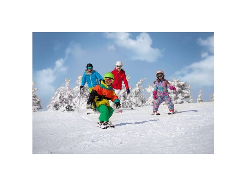 დღიანი ტური ბაკურიანში