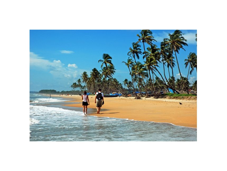 გოა! საუკეთესო გარემო საუკეთესო ფასებით!