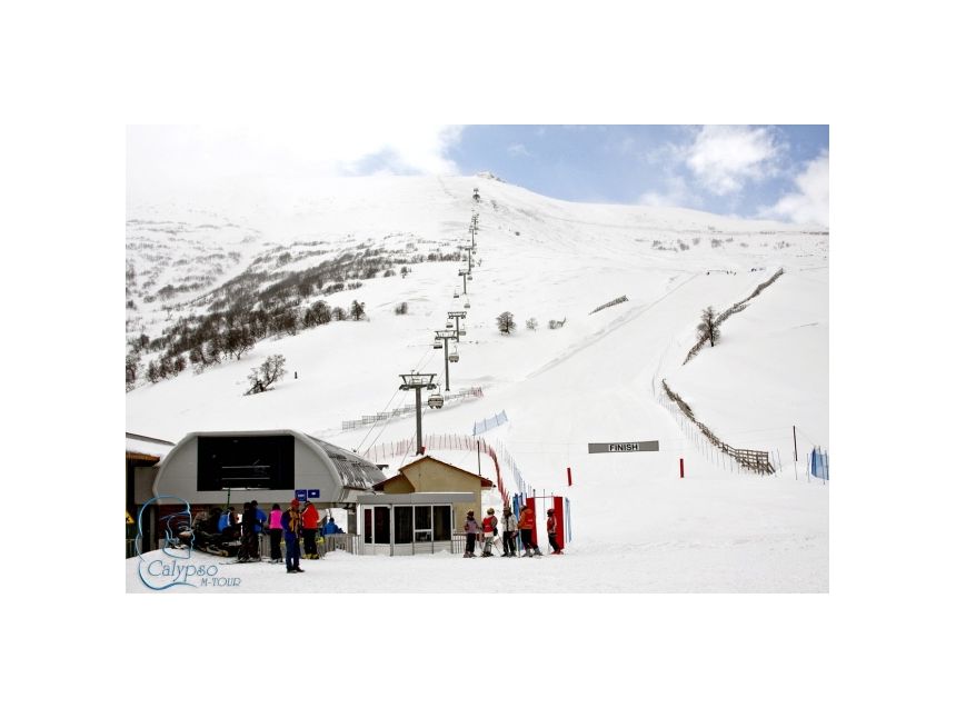 ბ ა კ უ რ ი ა  ნ ი <