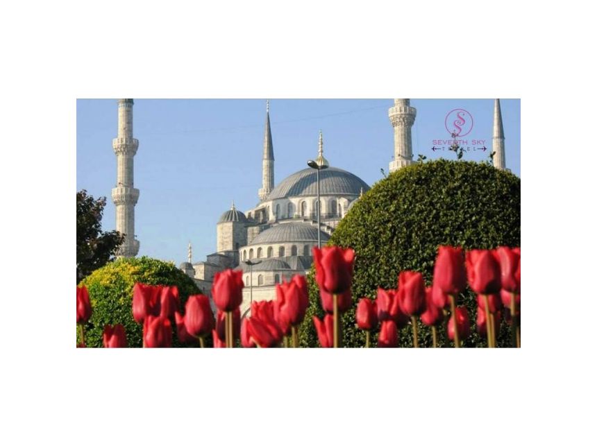 ტიტების ფესტივალი სტამბოლში