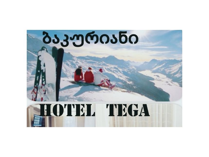 vipsale.ge-ზე! ნომერი სამჯერადი კვებით ბაკურიანის სასტუმროში «თეგა»