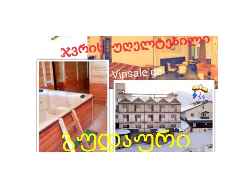 vipsale.ge-ზე!   ღამე  პერსონაზე, კვებით ან კვების გარეშე გუდაურის სასტუმროში «ჯვრის უღელტეხილი»