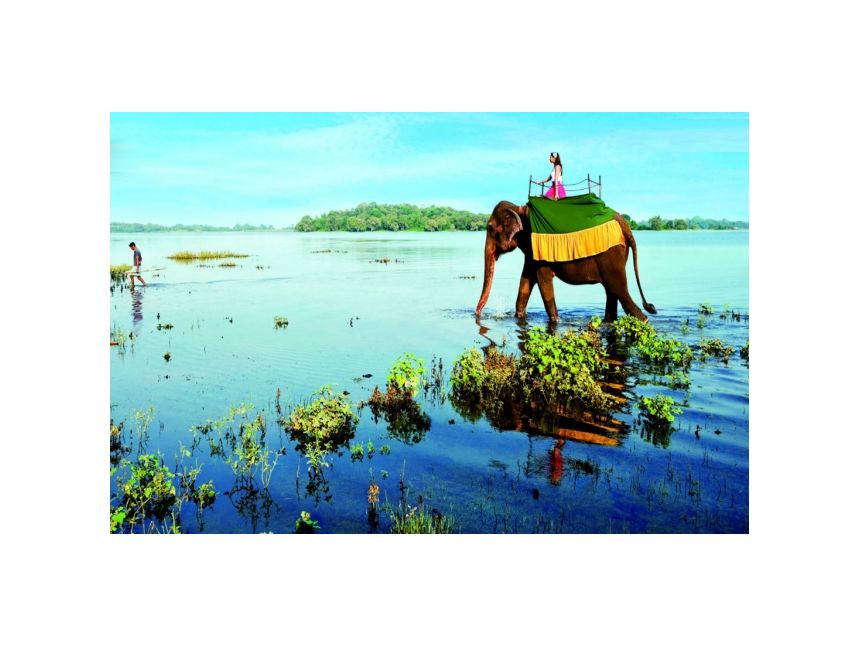 შრი ლანკა - მოხვდი ეგზოტიკის მწვერვალზე