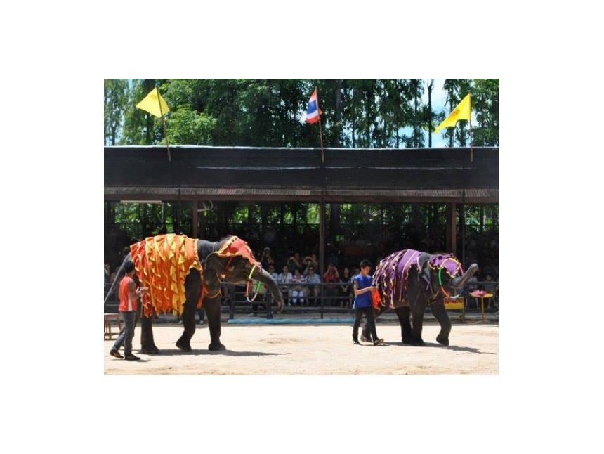 ტაილანდი, პატაია