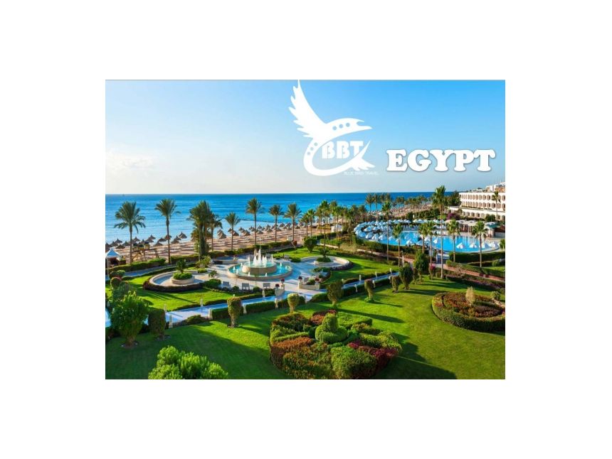 წითელი ზღვის მზიანი სანაპირო!