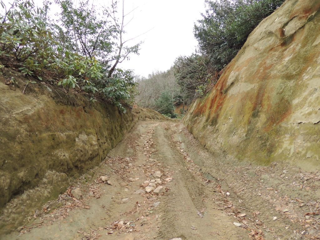 чаквистави