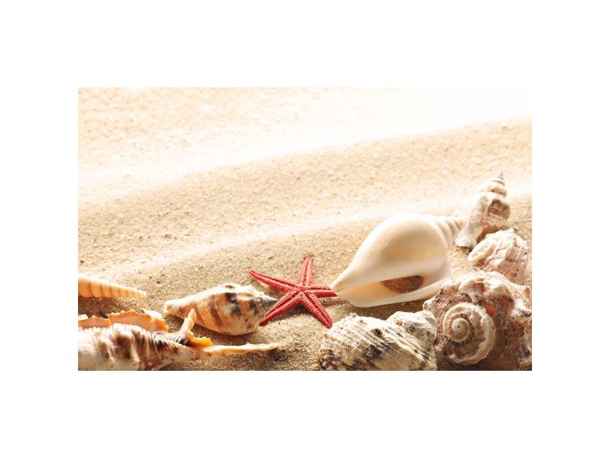 ✈ შარმ-ელ შეიხი - სრული პაკეტი !!!