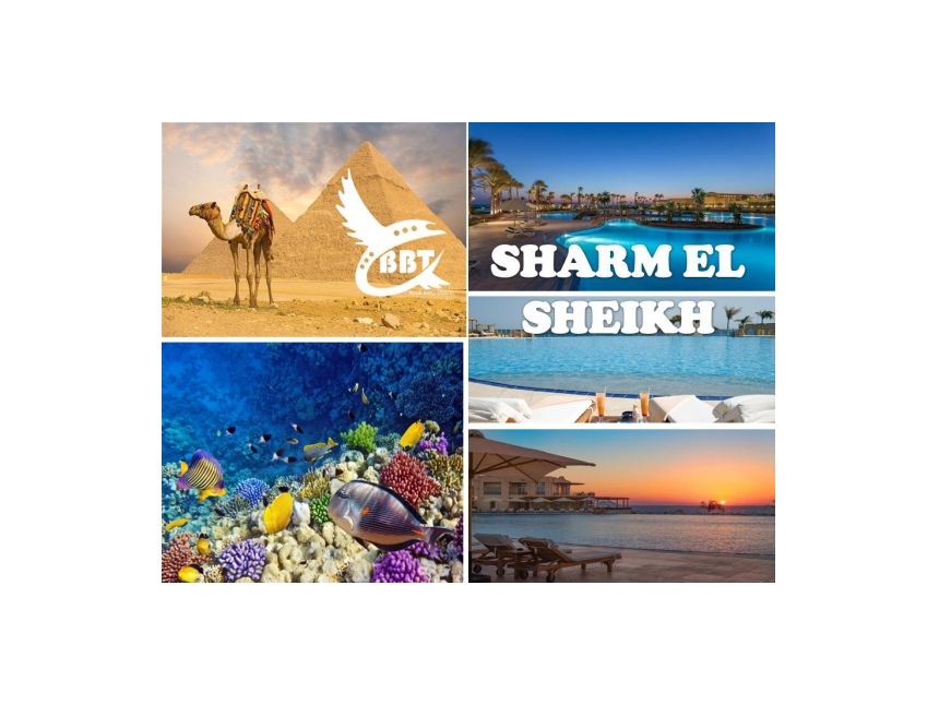 ეგვიპტე, წითელი ზღვის სანაპირო ❗❗❗
