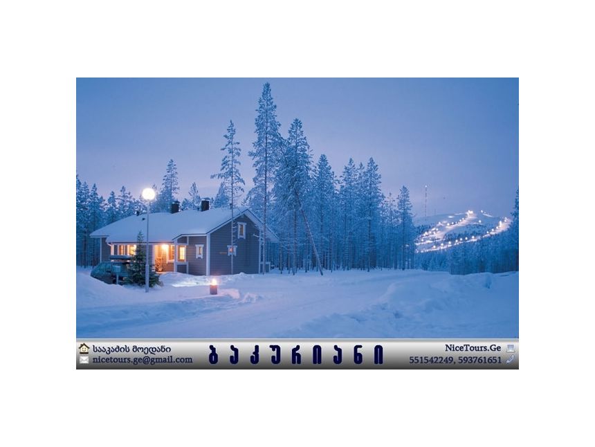 დღიანი VIP ტური ბაკურიანი www.NiceTours.Ge