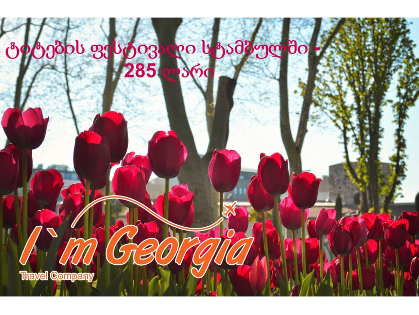 ტიტების ულამაზესი ფესტივალი მხოლოდ !!