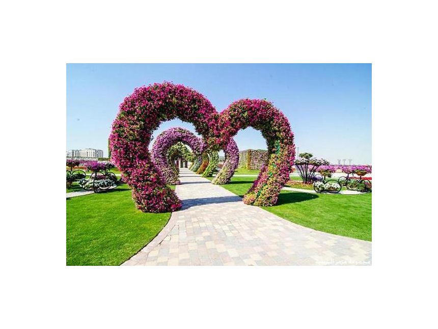 ☀ არაბთა გაერთიანებული საამიროები☀