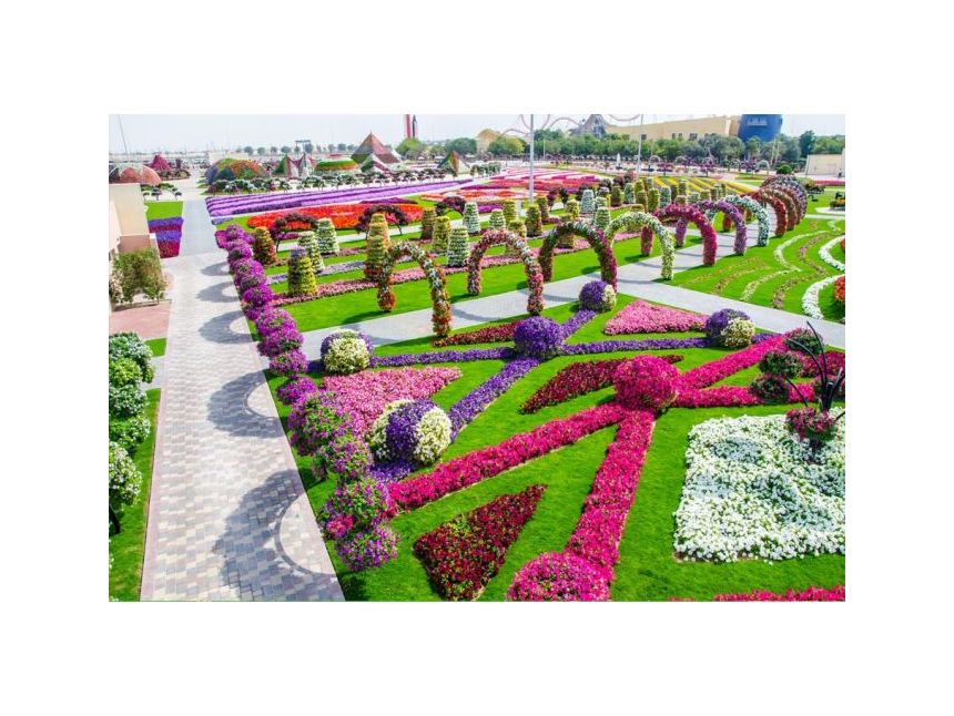 ☀ არაბთა გაერთიანებული საამიროები☀