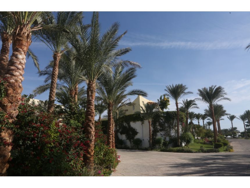 ☀ეგვიპტე/ შარმ-ელ-შეიხი☀ 