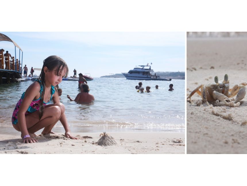 ☀ეგვიპტე/ შარმ-ელ-შეიხი☀ 