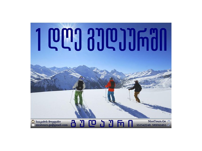 გუდაური www.NiceTours.Ge