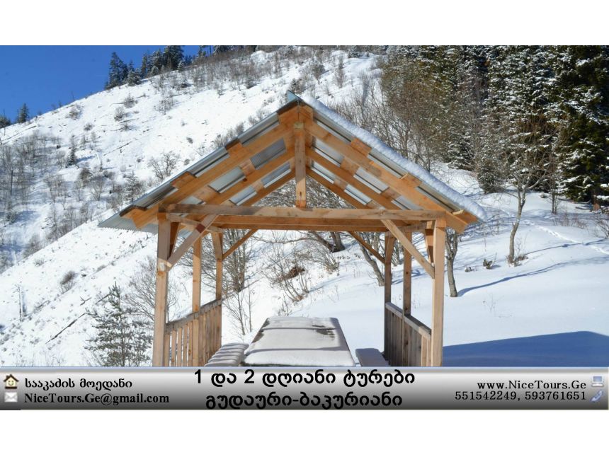 Nice Tours გთავაზობთ ტურებს ყველა მიმართულებით www.NiceTours.Ge