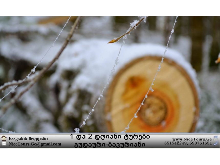 Nice Tours გთავაზობთ ტურებს ყველა მიმართულებით www.NiceTours.Ge