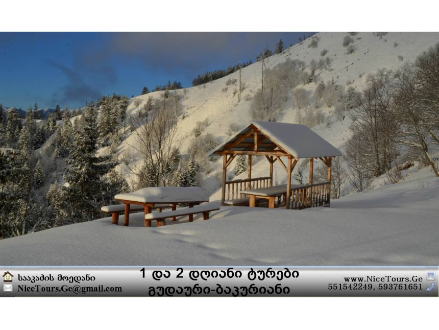 ყველა ტური ერთ საიტზე www.NiceTours.Ge