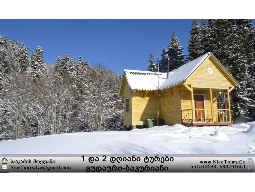 ყველა ტური ერთ საიტზე www.NiceTours.Ge