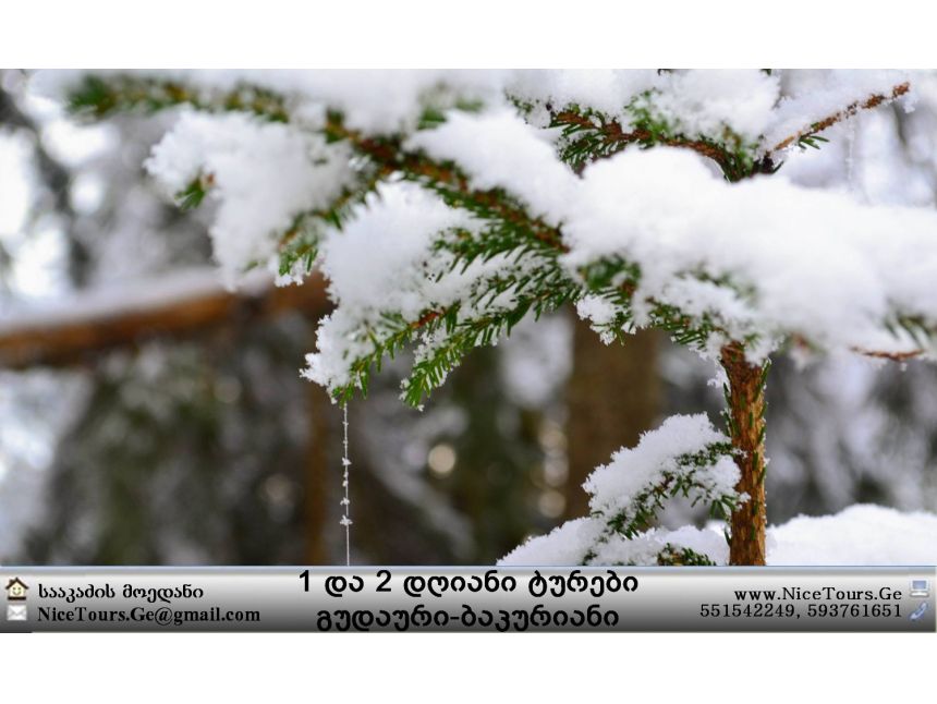 ყველა ტური ერთ საიტზე www.NiceTours.Ge