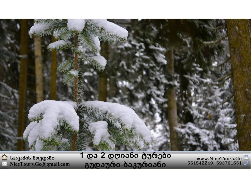 ყველა ტური ერთ საიტზე www.NiceTours.Ge