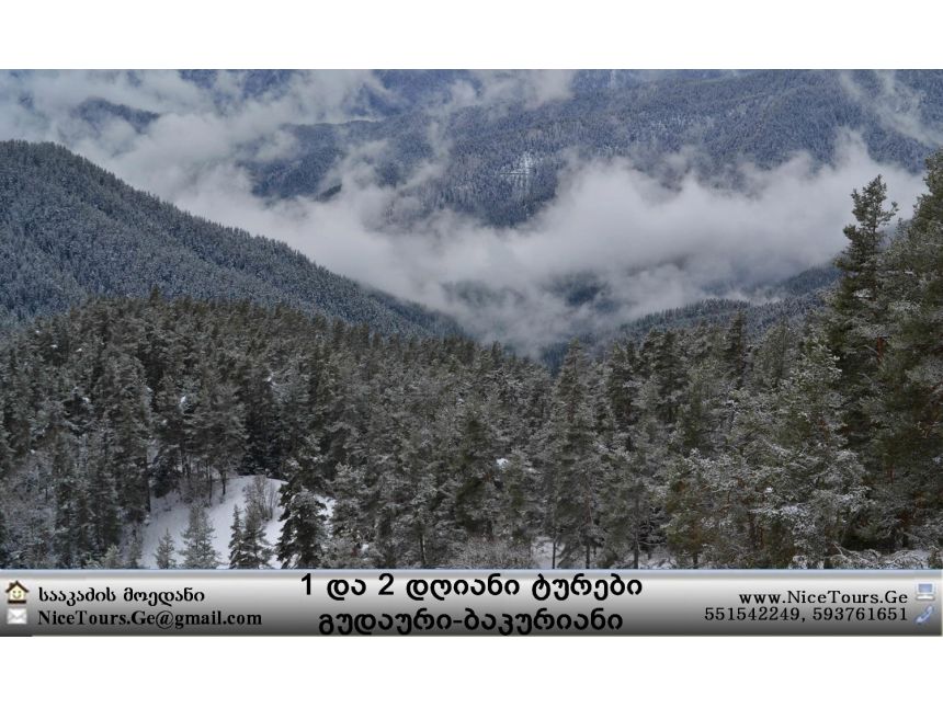 ყველა ტური ერთ საიტზე www.NiceTours.Ge