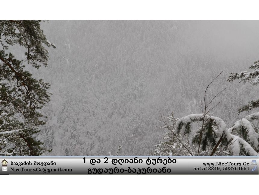 ყველა ტური ერთ საიტზე www.NiceTours.Ge