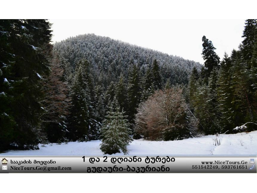 ყველა ტური ერთ საიტზე www.NiceTours.Ge