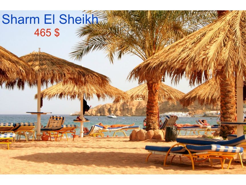 შარმ ელ შეიხი გელით...გაატარეთ  დაუვიწყარი დღე!!