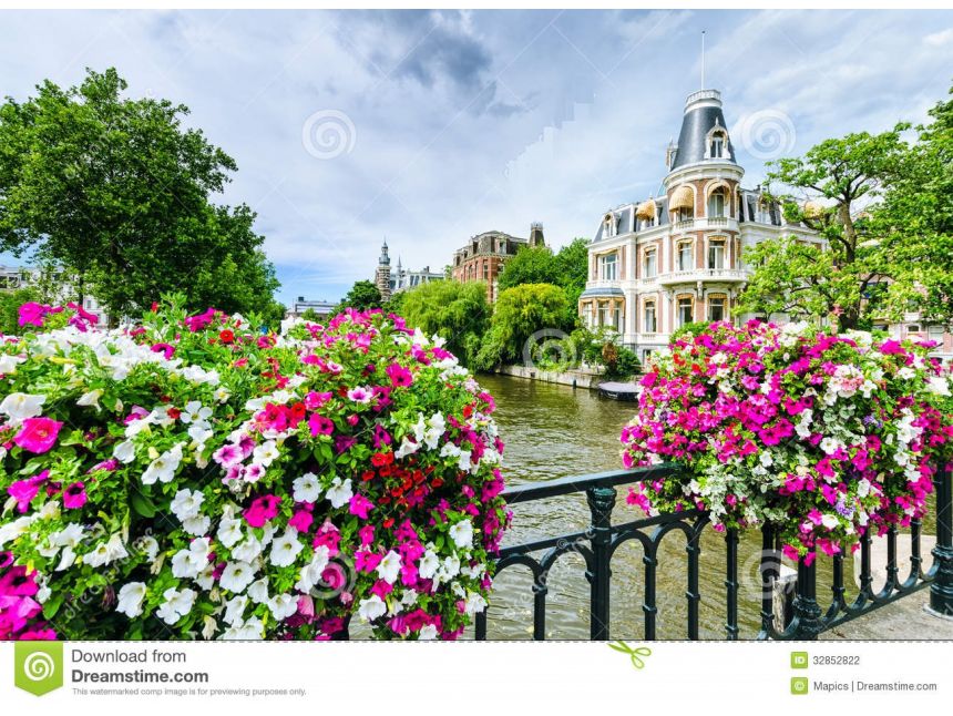 ამსტერდამი/ჰოლანდია - შეიგრძენი გაზაფხული ამსტერდამის სურნელებით ტელ.: , მობ.: