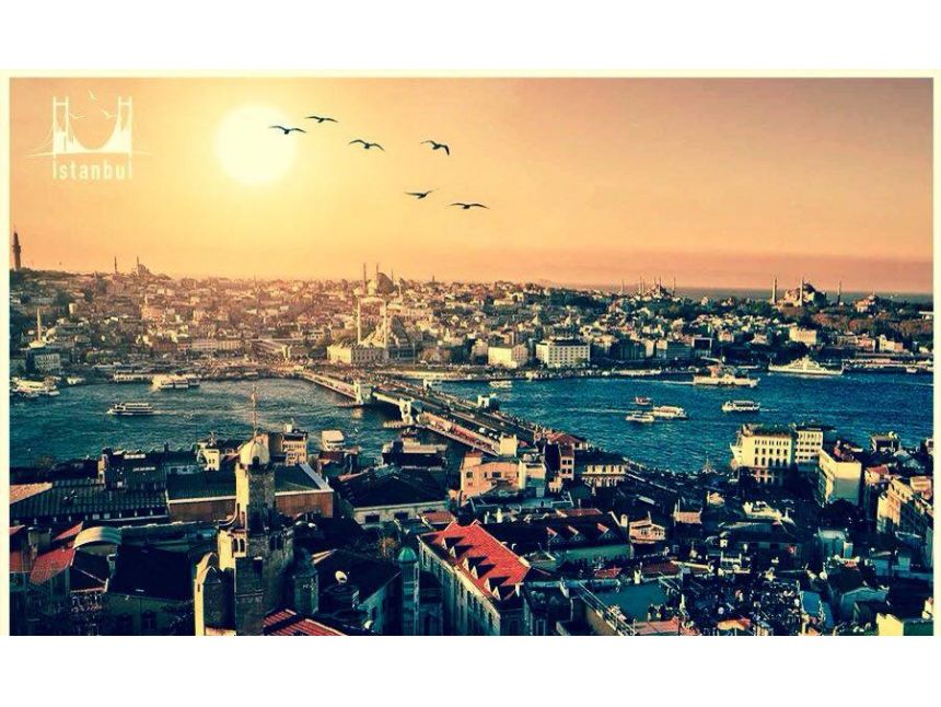 აქცია!ფასდაკლება ნადრევ ჯავშნებზე!WWW.NTURI.GE ონლაინ განვადება