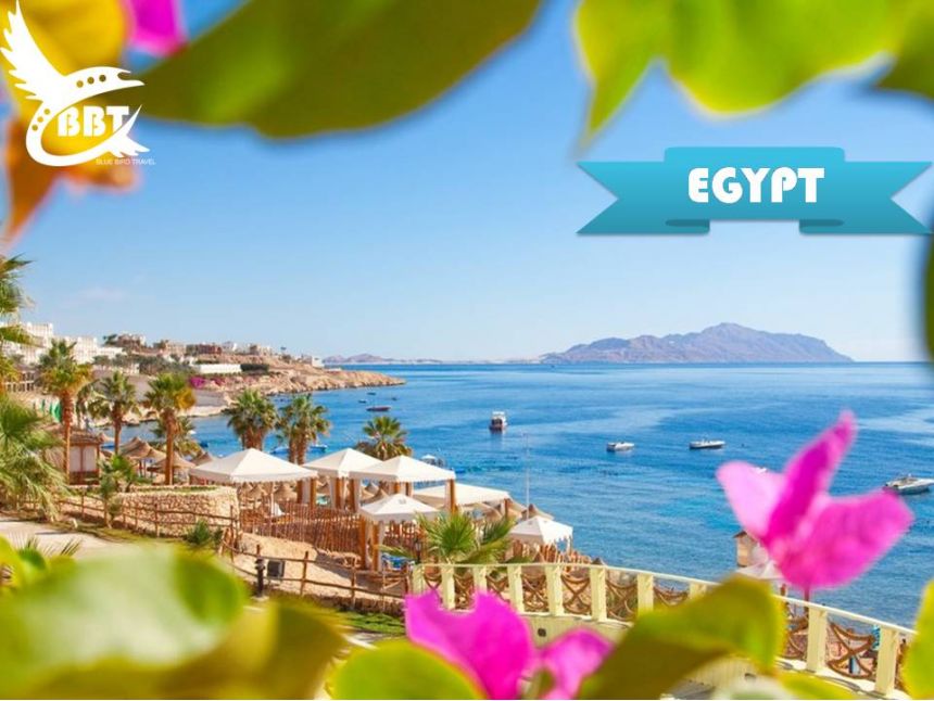 იმოგზაურეთ და გაეცანით ჩრდილოეთ აფრიკის კულტურას.