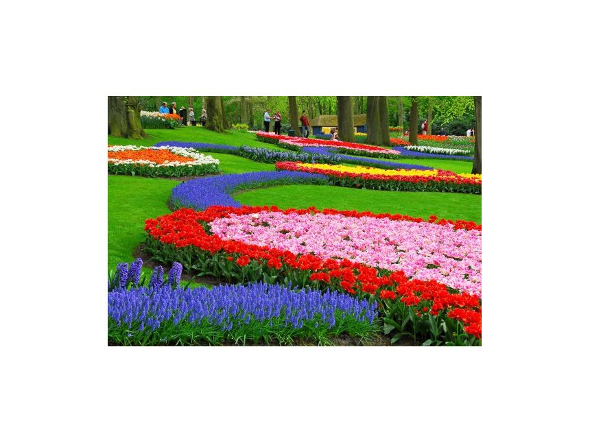 ტიტების ფესტივალი სტამბოლში ყველაზე დაბალ ფასად !!!