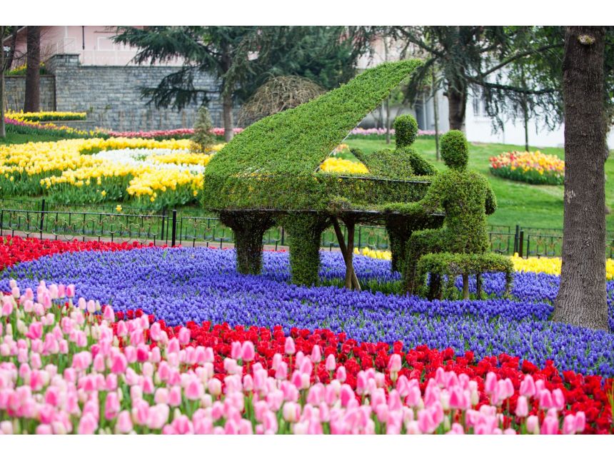 ტიტების ფესტივალი სტამბოლში ყველაზე დაბალ ფასად !!!