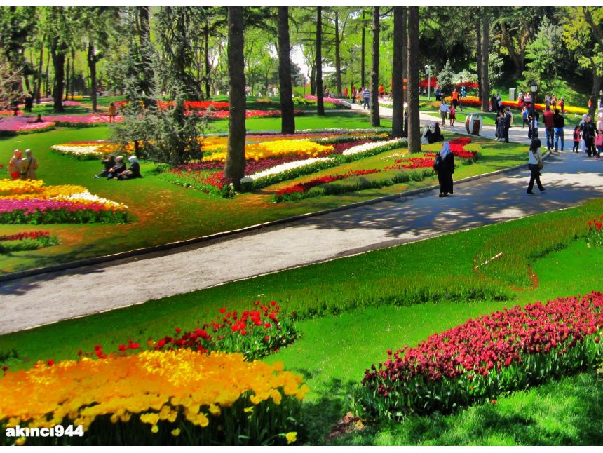 ტიტების ფესტივალი სტამბოლში ყველაზე დაბალ ფასად !!!