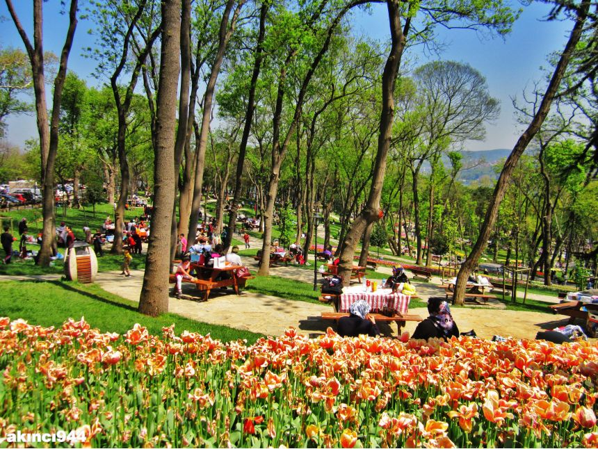 ტიტების ფესტივალი სტამბოლში ყველაზე დაბალ ფასად !!!