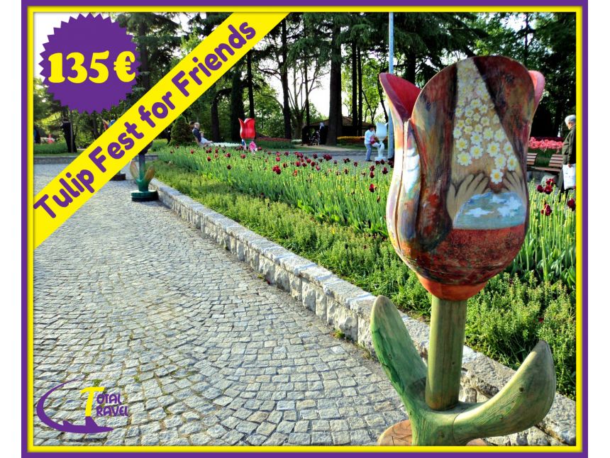  შეხვდი ტიტების ფესტივალს მეგობრებთან ერთად სტამბოლში!